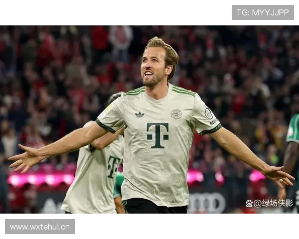 哈里·凯恩英超长期高产数据解析：稳定性逻辑